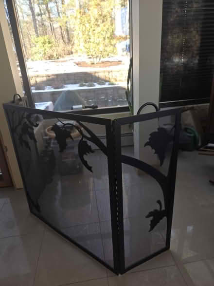 Photo of free Fireplace Screen (Andover) #1