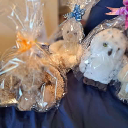 Photo of free Soft Toys (Charminster BH8) #4