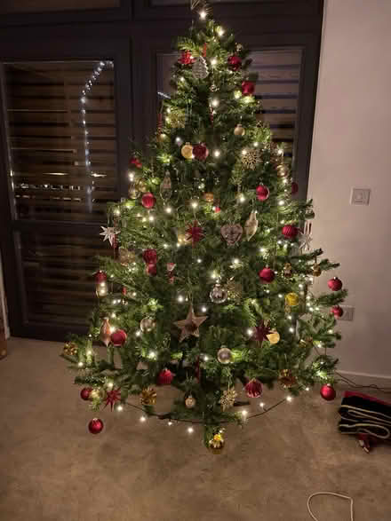 Photo of free Christmas Tree (excl decoration) (Llanwern NP18) #1