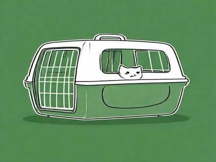 Photo of free Large cat carrier (St Leonards BH24) #1