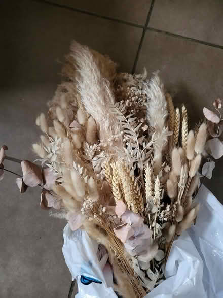 Photo of free bunch dried flowers (Shenley Brook End MK5) #1