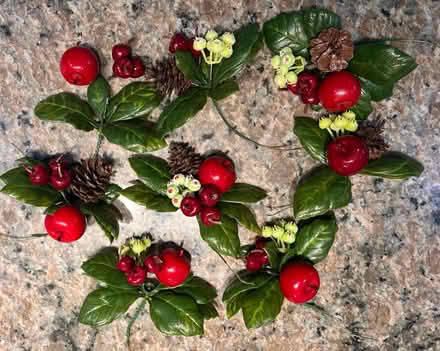 Photo of free Holiday Picks (S Downers Grove) #1