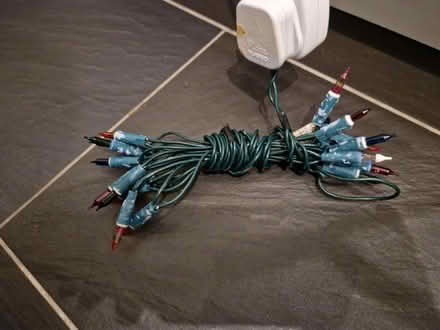 Photo of free Christmas lights (Barlborough, S43) #2