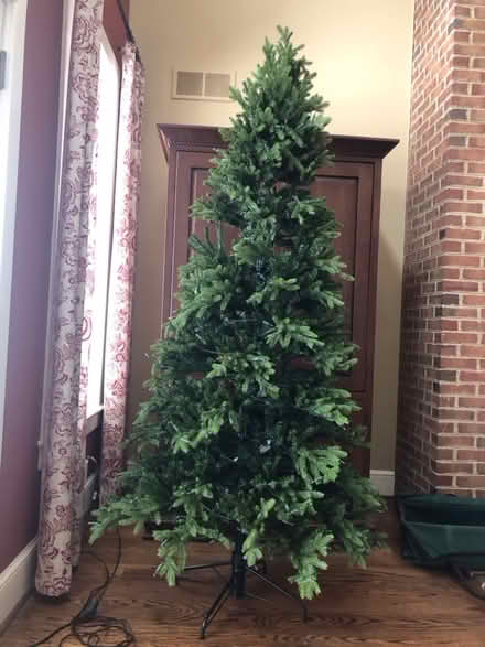 Photo of free Christmas tree (Garnet Valley) #1