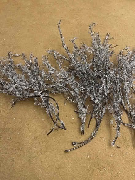 Photo of free Christmas decorations (Blacklands TN34) #1