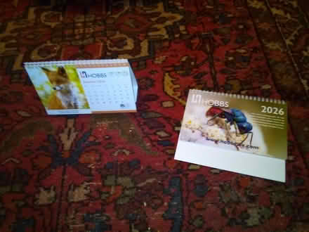 Photo of free Two 2026 desk calendars with wildlife pictures (New Marston OX3) #1