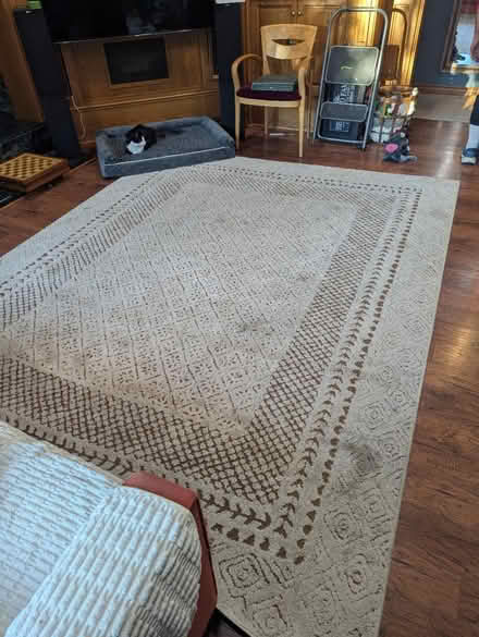 Photo of free 9 x 12 rug (Newbury Park) #1