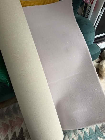 Photo of free Carpet remnant 2.2x1.09 (Solihull B91) #1