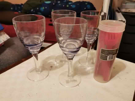 Photo of free Plastic Wine Glasses (Sawley NG10) #1