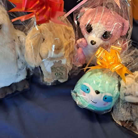 Photo of free Soft Toys (Charminster BH8) #3