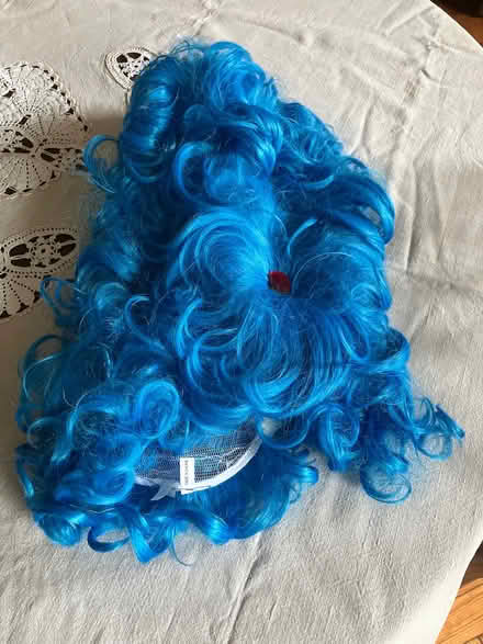 Photo of free Tall blue wig (Old Town TN34) #1