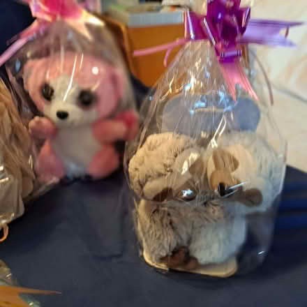 Photo of free Soft Toys (Charminster BH8) #2