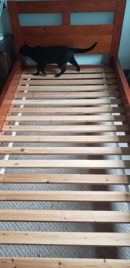 Photo of free Single bed, duvet covers pillowcase (WF4 Horbury) #4