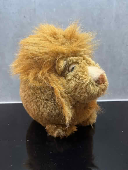 Photo of free Soft toy lion (Malvern Link WR14) #2