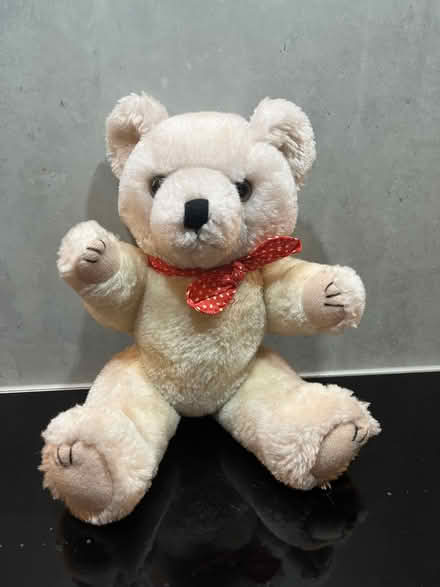 Photo of free Small Teddy (Malvern Link WR14) #2