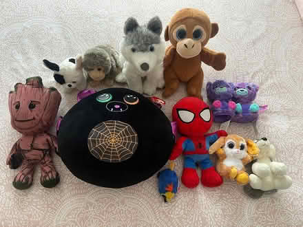 Photo of free Cuddly Toys (Wickford, Shotgate.) #1