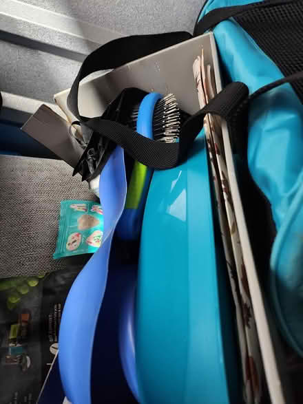 Photo of free Pet supplies (Bowie Md) #4