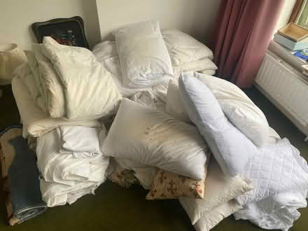 Photo of free Bedding - pillows, duvets (Chilton OX11) #1