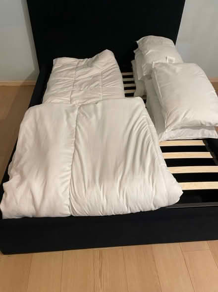 Photo of free 2 duvets 6 pillows (Seaton) #2