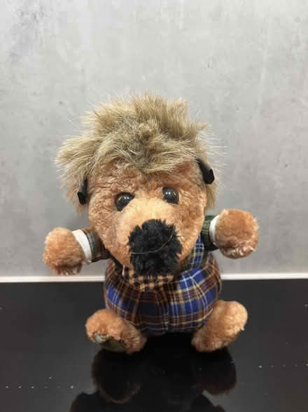 Photo of free Soft toy hedgehog (Malvern Link WR14) #1