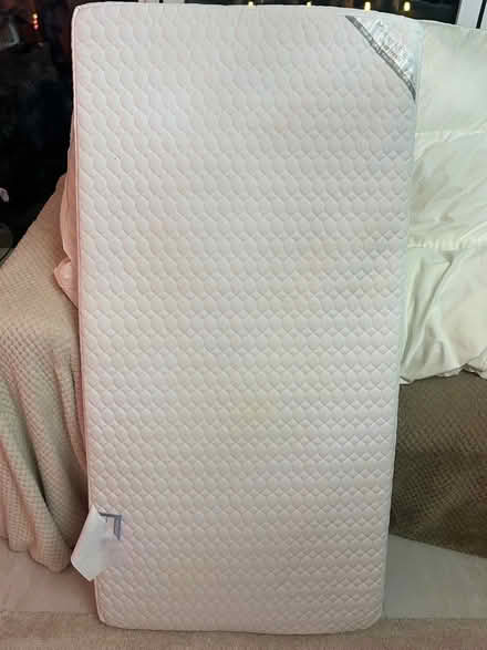 Photo of free Cot mattress (Locks Heath SO31) #4