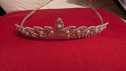 Photo of free Tiara (Great Baddow CM2) #1