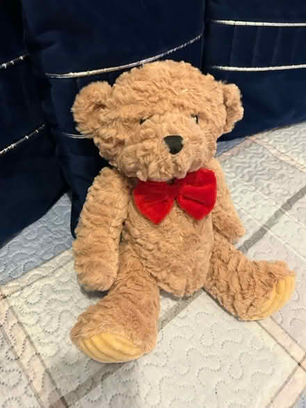 Photo of free Christmas teddy (Sandridge AL4) #1