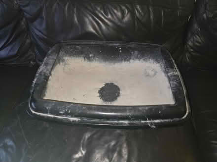 Photo of free Large cat litter tray (Frimley) #1