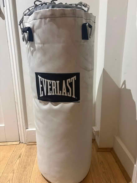 Photo of free Large Everlast punchbag (Putney, SW15) #1