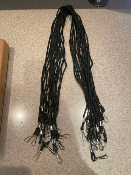 Photo of free Lanyards (K1H 5T8) #1