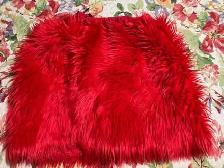 Photo of free Xmas skirt and scarf (south sunnyvale) #1