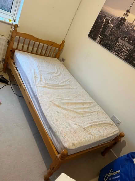 Photo of free Pine single bed (Guildford GU2) #1