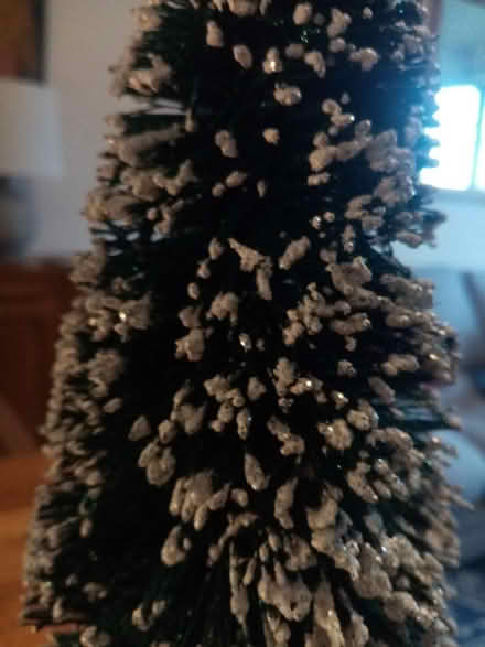 Photo of free Small decorative Christmas tree (Victoria SW1) #2