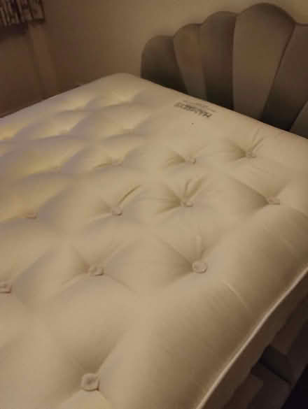 Photo of free Double bed, headboard and mattress (CR0) #2