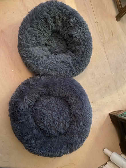 Photo of free Cat/dog bed donuts (Hitchin) #1