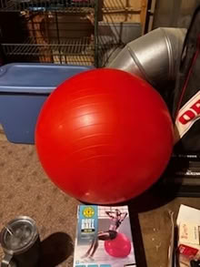 Photo of free Body Ball (Loveland (Monroe and Knobcone)) #2