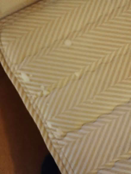 Photo of free Single bed, headboard and mattress (CR0) #2