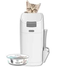Photo of free LittyCat (CT12) #1