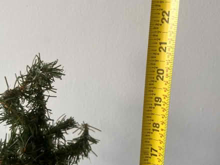 Photo of free Miniature Christmas Tree (Arlington, VA) #3