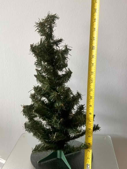 Photo of free Miniature Christmas Tree (Arlington, VA) #2