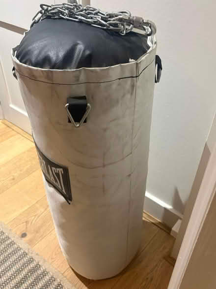 Photo of free Large Everlast punchbag (Putney, SW15) #3