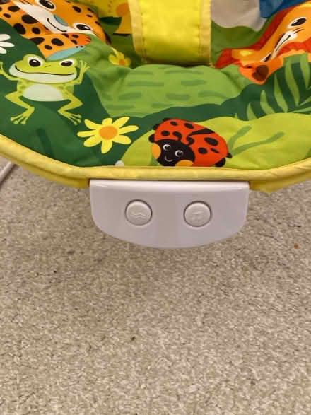 Photo of free Musical and vibration bouncer (Upper Basildon RG8) #2