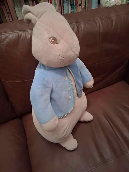 Photo of free Peter Rabbit and Thumper (Walkern SG2) #2