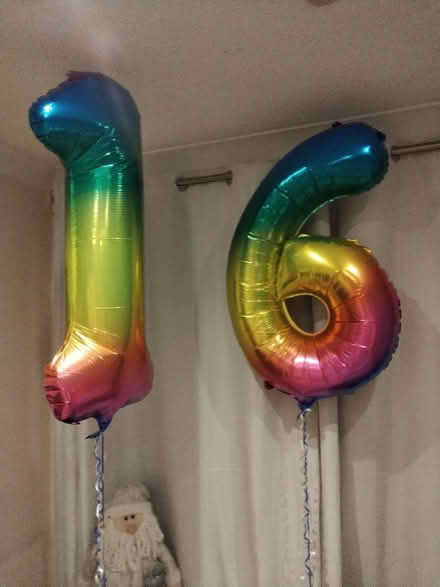 Photo of free Balloons (Frome BA11) #1