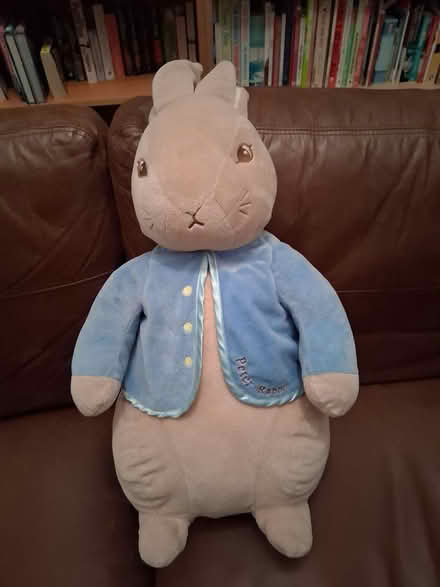 Photo of free Peter Rabbit and Thumper (Walkern SG2) #4