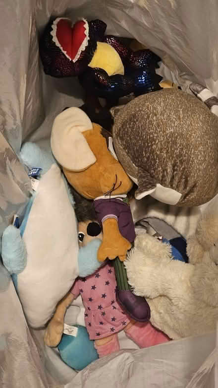 Photo of free Teddys (Panshager AL7) #2