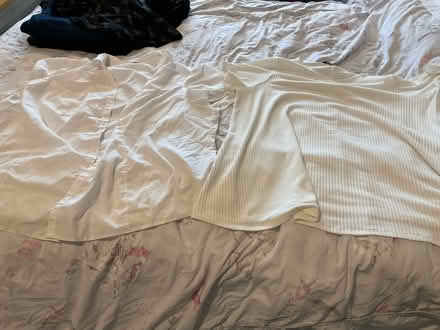 Photo of free Plus size clothes (M33 5NW) #2