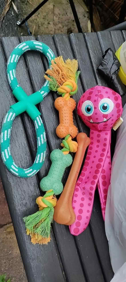 Photo of free Dog toys (WD23 Bushey) #1