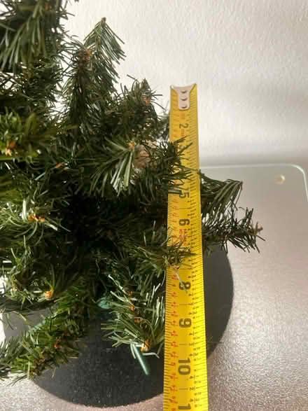 Photo of free Miniature Christmas Tree (Arlington, VA) #4