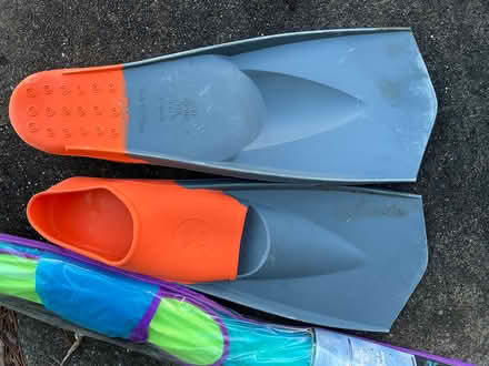 Photo of free Swim Fins (San Rafael, Glenwood) #1